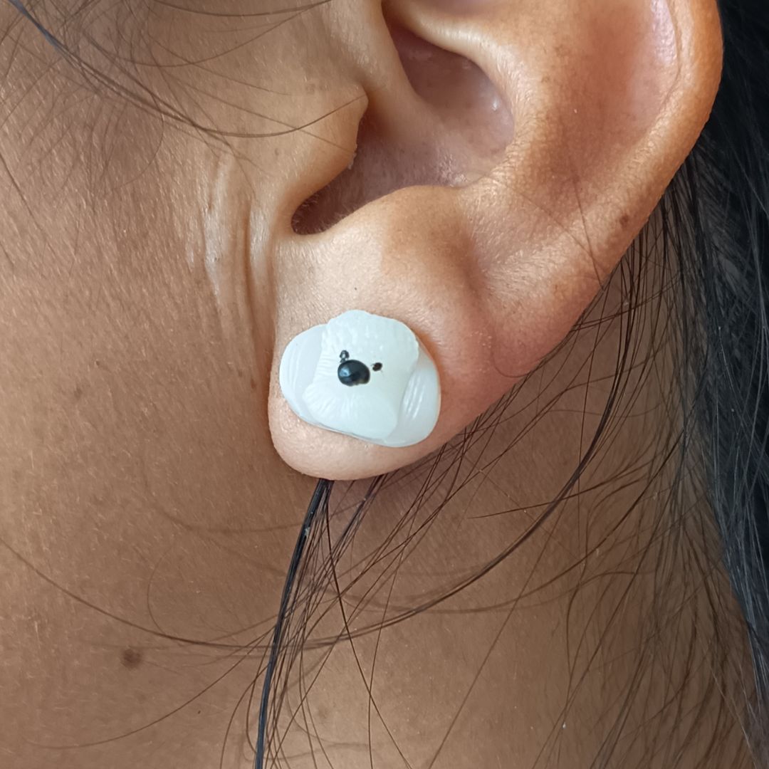 Diseño digital Paquete Aretes PERROS - S203D90