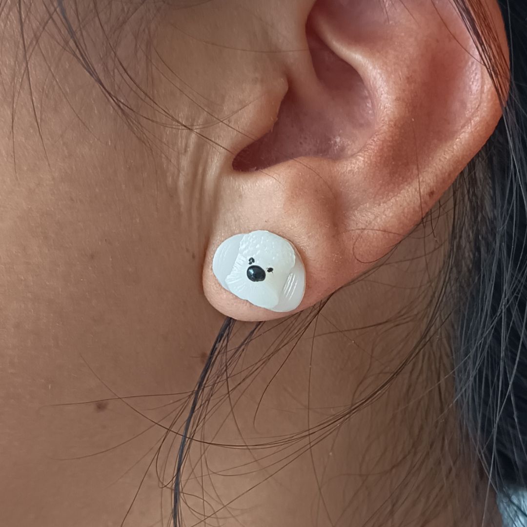 Diseño digital Paquete Aretes PERROS - S203D90