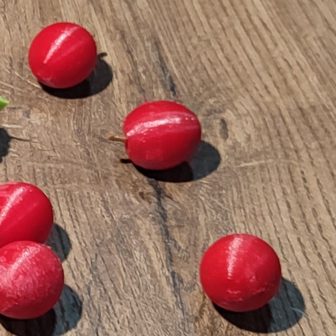 Diseño digital Ciruela - S203D84