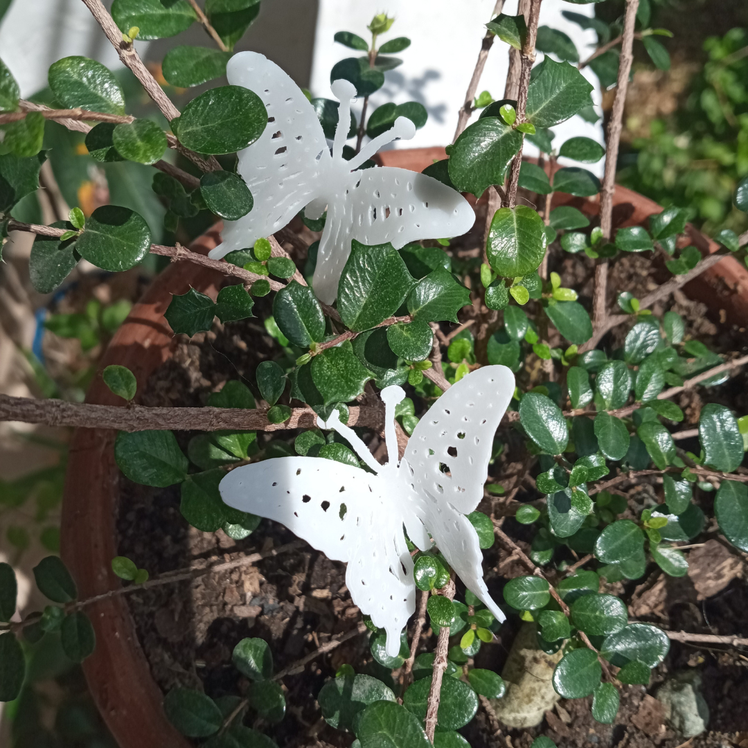 Aretes mariposa - S203D11